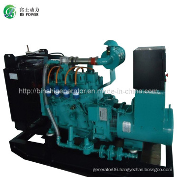 62.5kVA LNG Power Generator Set